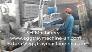 SHW-4500(4x4) environment protection 4500 pcs/hr large capacity paper making machine egg tray carton