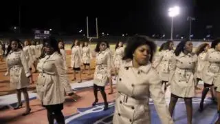 VSU Alpha Kappa Alpha Probate 2011 / Mr. Facey