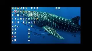 Championship Manager insert disk issue