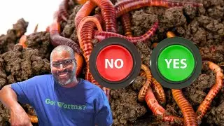 Can I Add Carpet On Top Of A Worm Bed