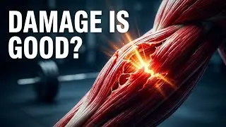 The Microscopic Damage Causing Your Post-Workout Pain