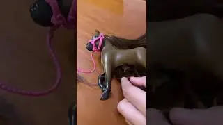 Arabian Horse give Birth to beautiful Mustang Foal
