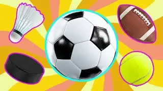 Названия спортивных мячей на английском языке | Различные виды игр с мячом