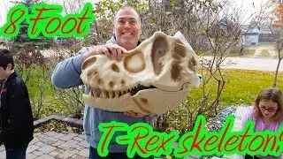 Гигантский 8-футовый скелет тираннозавра Рекса! Скелет динозавра тираннозавра Рекса на Хэллоуин &mdash;...