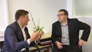 Purplebricks, Yopa, House Simple and EMoov in a room - What would you say?