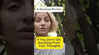 Nondual Pointer