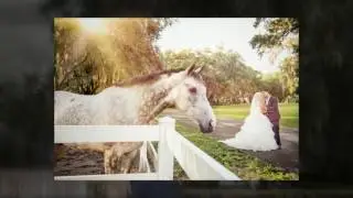 Lange Farm wedding | Tampa wedding photographers