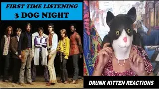 3 DOG NIGHT - FIRST TIME LISTENING - DRUNK KITTEN REACTIONS