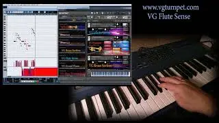 VG Flute Kontakt sound library,  Wav, nki, brass, orchestral.