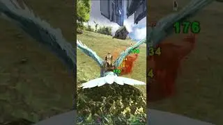 VE 5 SANİYE SONRASI.... #ark #arksurvivalevolved #arkt&uuml;rk&ccedil;e #raptor