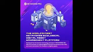 The World's First Metaverse Ecological Digital Asset Management Platform