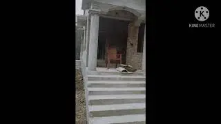 samtig dijain