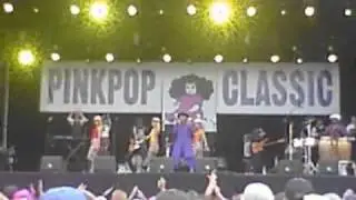 Pinkpop Classic 14th August 2010 - Kid Creole and the Coconuts (GREAT AUDIO!)