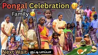  தை திருநாள் பொங்கல் 🌾பொங்கல் குடும்பத்தோடு கொண்டாடியாச்சு 😍Next குட்டி பாப்பாவோட பொங்கல்