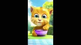 Talking Ginger Live Streaming