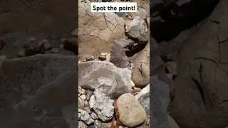 Spot the point!!! #arrowheadhunting #arrowhead #artifacts #artifactdiscovery #discovery #artifact