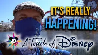 Touch of Disney | More than just a return to the parks