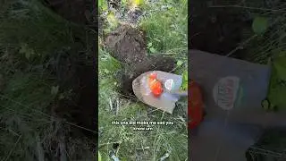 Мистер Клин скончался