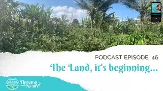 Thriving with Nature #46 - The Land, it&rsquo;s beginning..
