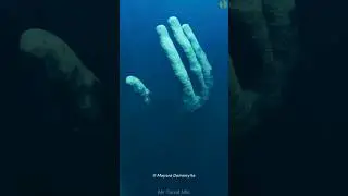 😲 How Deep The Ocean Really Is | How Deep The Ocean Really Is Tamil | Mr Tamil Mic | #shorts