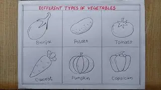 Different types of Vegetables drawing easy| How to draw 6different types Vegetables|Pencil drawing