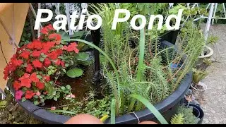 Patio Pond