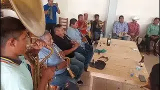 MI BANDA DE ALPOYECANCINGO TOCANDO SUS MEJORES TEMAS  EN PLATANAR MPIO DE XALPATLAHUAC 🥁🎺🥁🎺🥁🎺🎺🎺🎺🎺