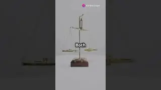 The Weight Puzzle: Mind Blowing Puzzles 🧠⚖️ #logicpuzzles