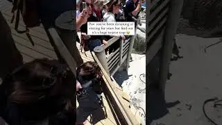 IG vs Reality at Boulders Beach Penguin Colony in South Africa