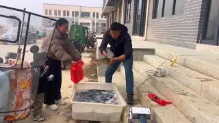 摆摊卖鱼快2个月了，今天算了一下总收入，还不错我很满意 #抖音商城年货节 #摇出我的新年本命穿搭 #卖鱼人 #农村赶集 #我的农村生活