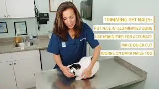 How to Use LED Illuminated Nail Clipper