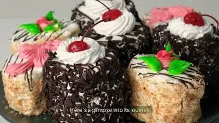 Indulging in Black Forest Cake: A Decadent Chocolate Delight! | Part 1