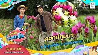 ดอกปทุมมา อ.โกสุมพิสัย จ.มหาสารคาม | เรื่องเด็ดเอ็ดตะโร | 6 ต.ค. 68 (3/4)