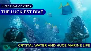 Scuba Diving on new year 2023