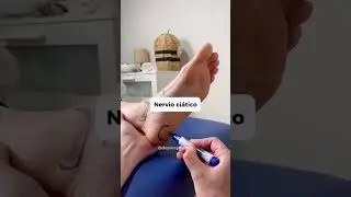 C&oacute;mo Aliviar el Dolor de ESPALDA y Nervio CI&Aacute;TICO con Reflexolog&iacute;a Podal #reflexologia #ci&aacute;tica