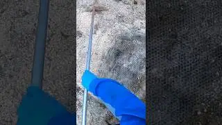 Farm Hygiene After Grazing