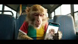 Funny Monkey Using Mobile Phone  | Viral Monkey Video