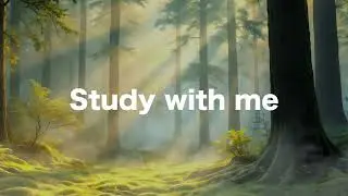 Forest Ambience for Deep Focus &mdash; 3 Hours of Calm Study Music 3 hours