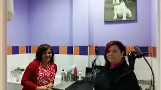 VIDEOVET_4_COCO VA A LA PELUQUERIA