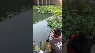 Village boy catching fish with hook from the beel 🐟🎣