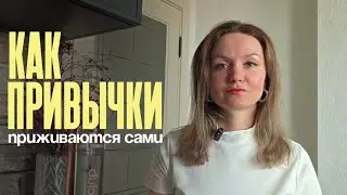 Новые привычки навсегда | 3 проверенных принципа, которые дают энергию жить, а не выживать