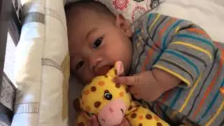 Skye 4 months 咬小鹿 chewing toy