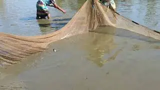Best net fishing video #foryou #fishing #fish 