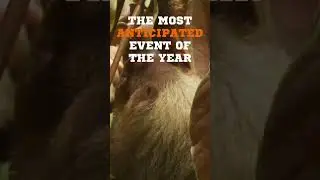 2 days until the Sloth Ironman Games!