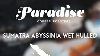 Sumatra Abyssinia Wet Hulled - History of Sumatra Coffee