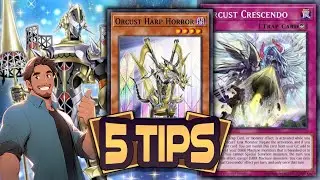 Tips for Playing or Beating Orcust