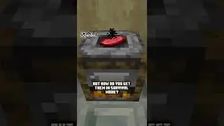 How to Get Invisible Item Frames in Survival Mode?