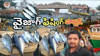 వైజాగ్ ఫిషింగ్ హార్బర్ #viral #shorts #trending #telugu  #vizagbeach #vizag #santa #market #citysata