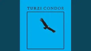 Condor (Duplan Remix)