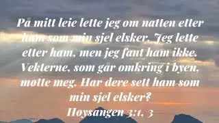 Guds kirkes grunnvoll ene